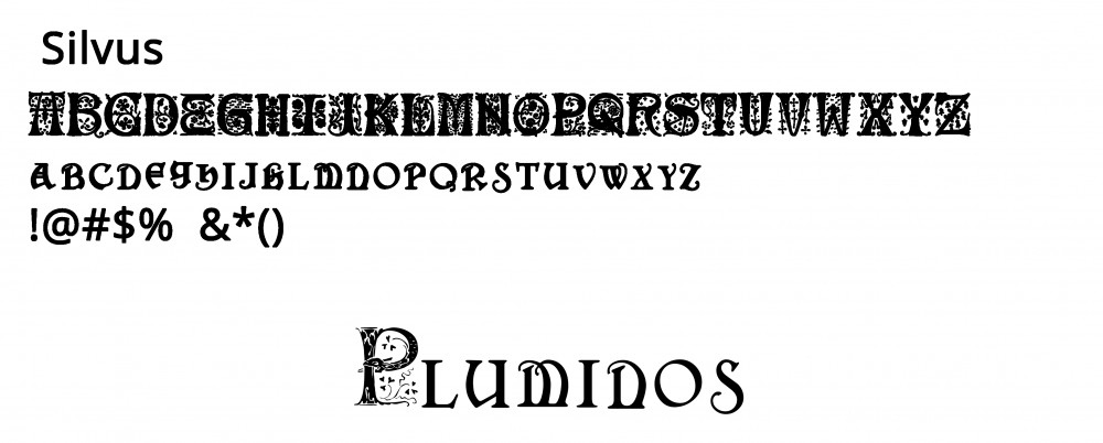 Font per Logo di Pluminos