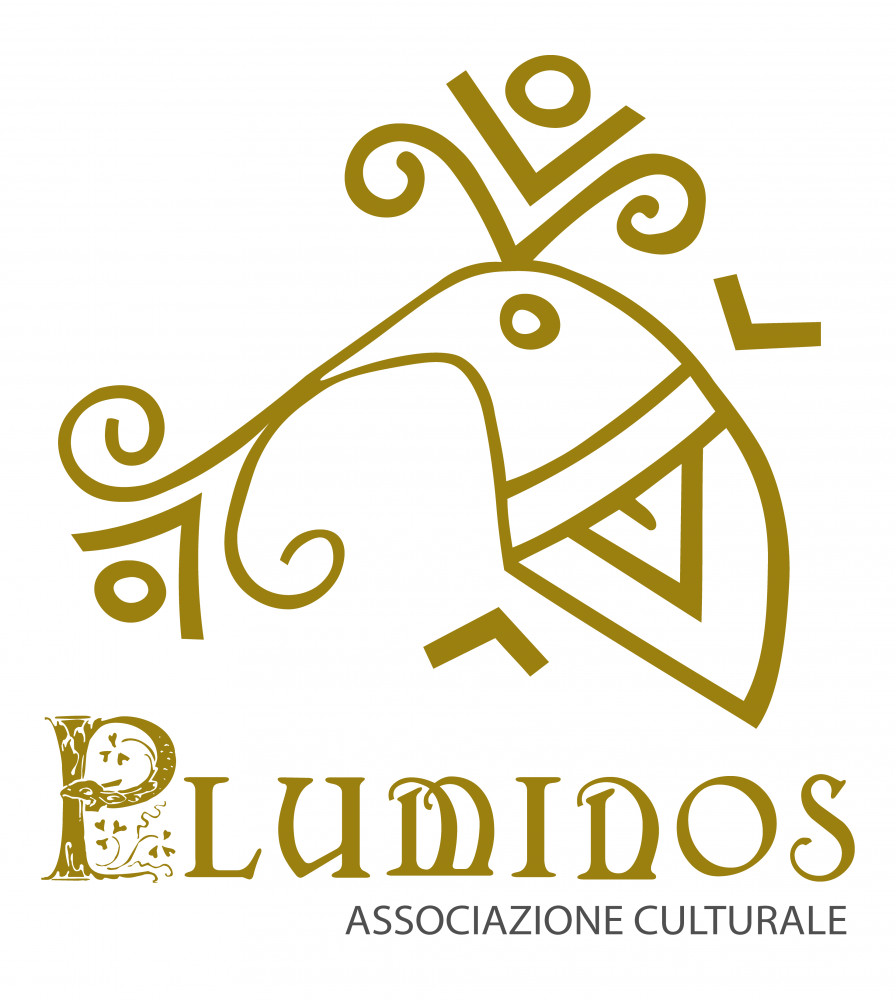 Logo di pluminos compatto